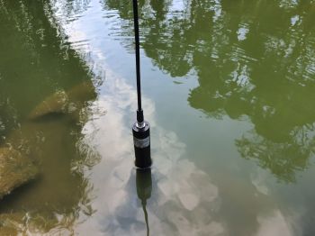 Cảm biến đo Oxy hòa tan DO (Dissolved Oxygen)